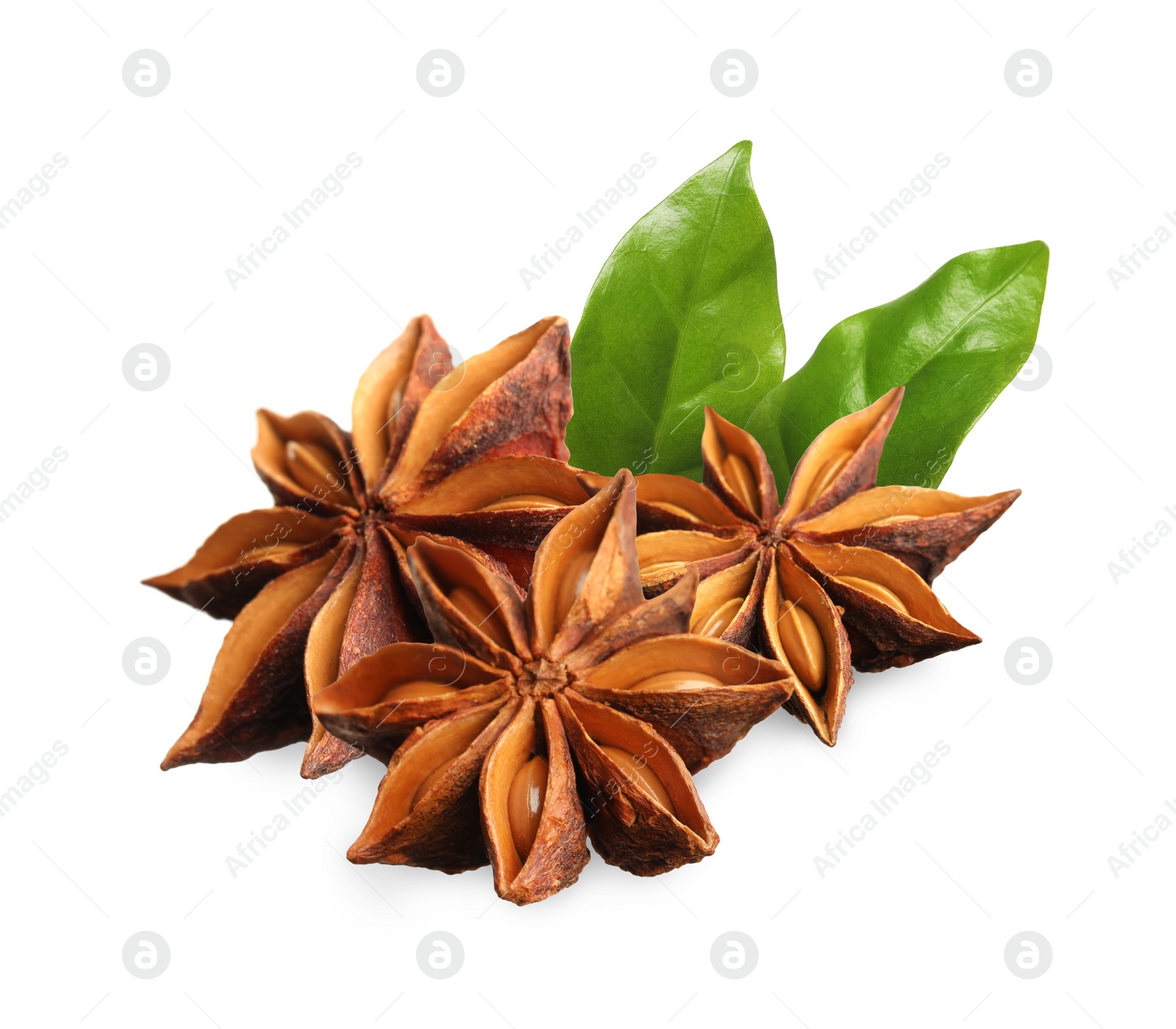 Image of Aromatic dry anise stars and green leaves on white background