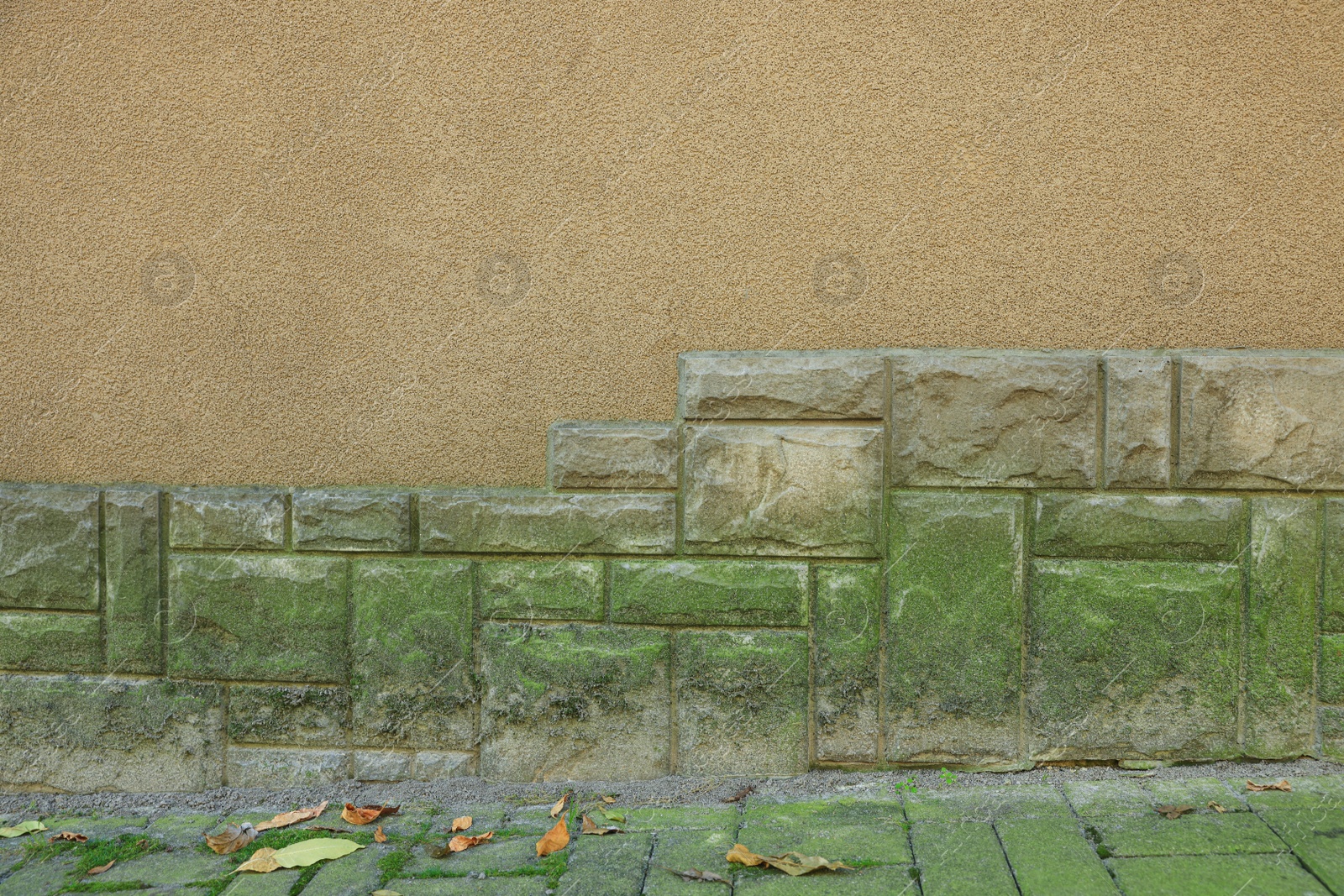 Photo of View of stone wall with green moss outdoors, closeup