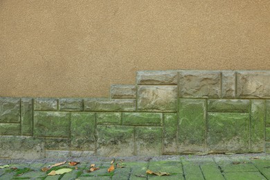 Photo of View of stone wall with green moss outdoors, closeup