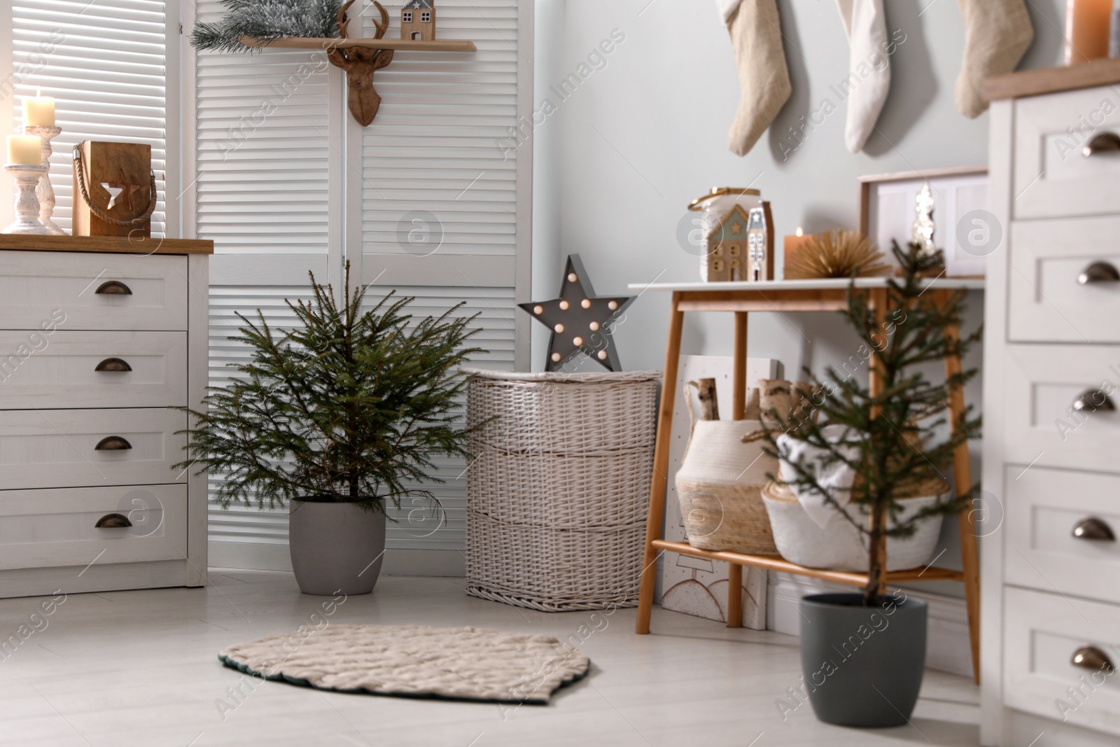 Photo of Beautiful room with potted fir trees. Interior design