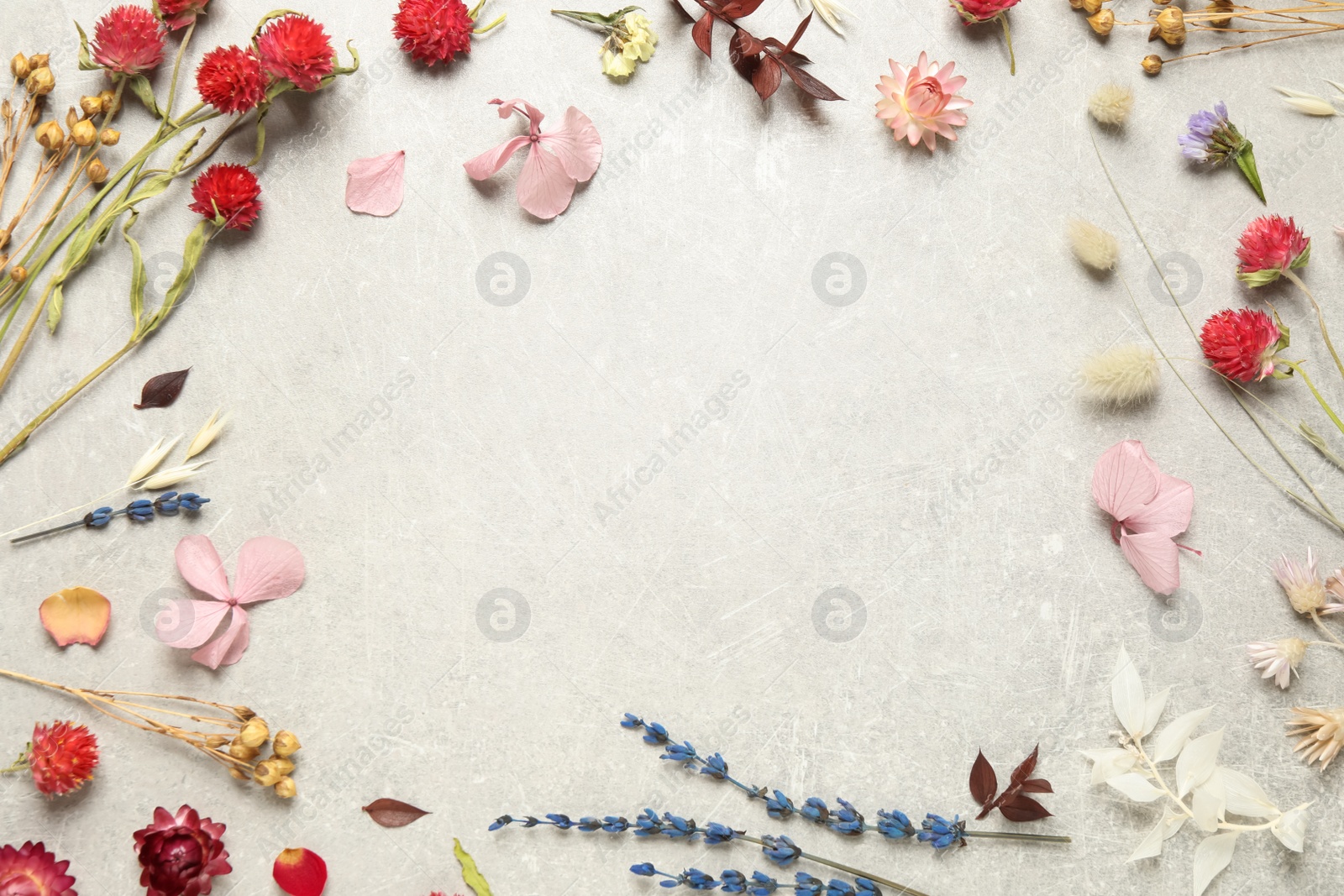 Photo of Frame of different fresh and dry flowers on light grey background, flat lay. Space for text