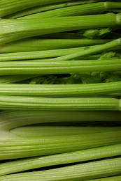 Photo of Many fresh green celery bunches as background, top view