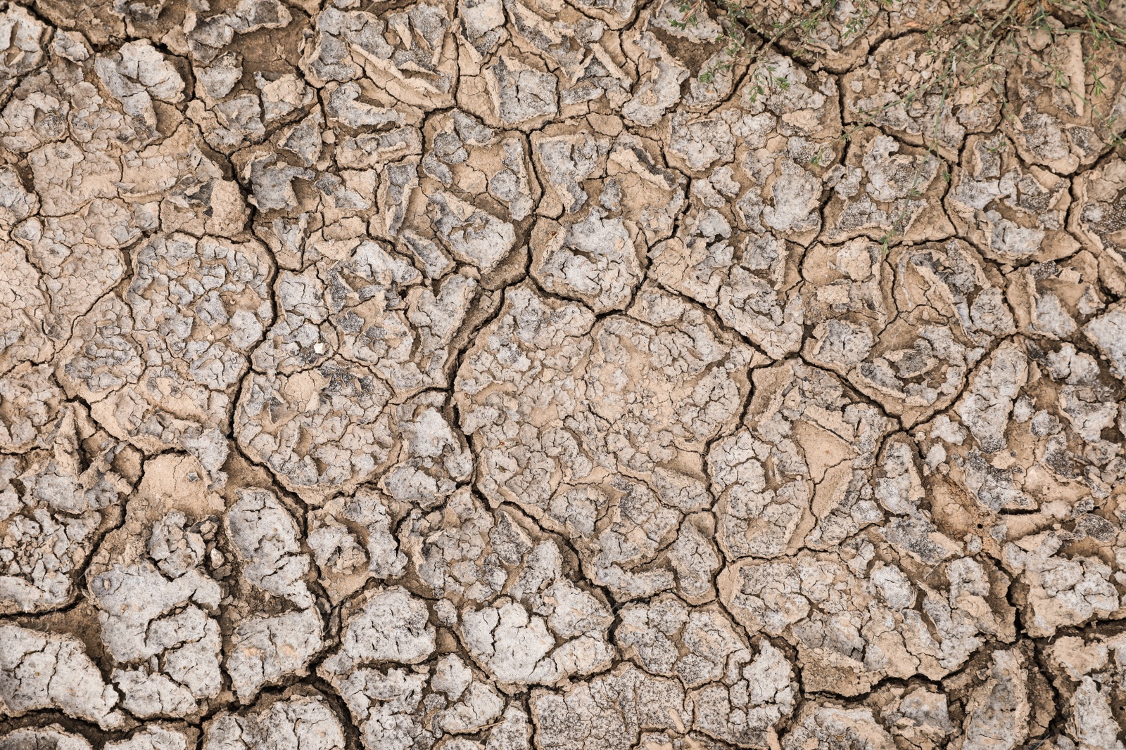 Photo of Dry textured ground surface as background, top view. Thirsty soil