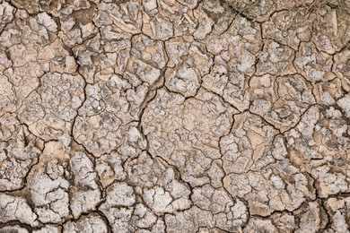 Photo of Dry textured ground surface as background, top view. Thirsty soil