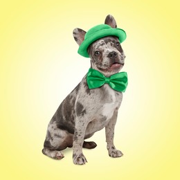 St. Patrick's day celebration. Cute French bulldog with green bow tie and leprechaun hat on yellow background