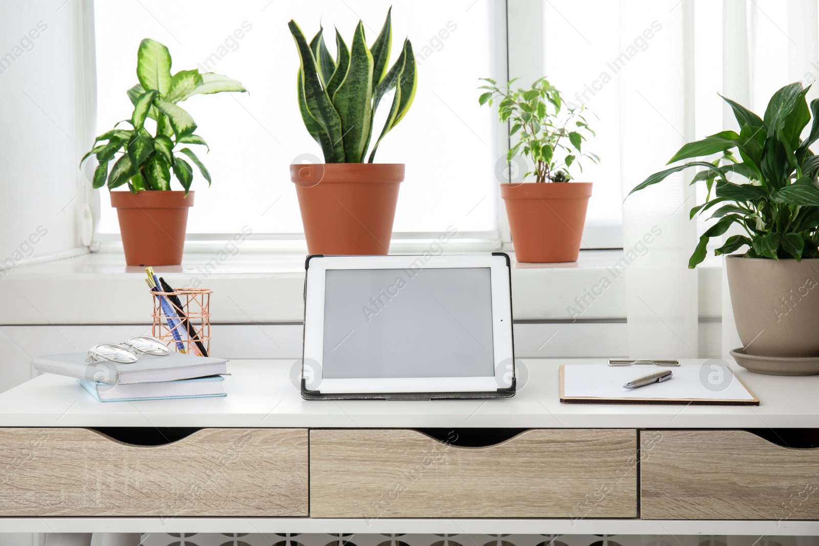 Photo of Tablet on table and houseplants in office interior, space for text