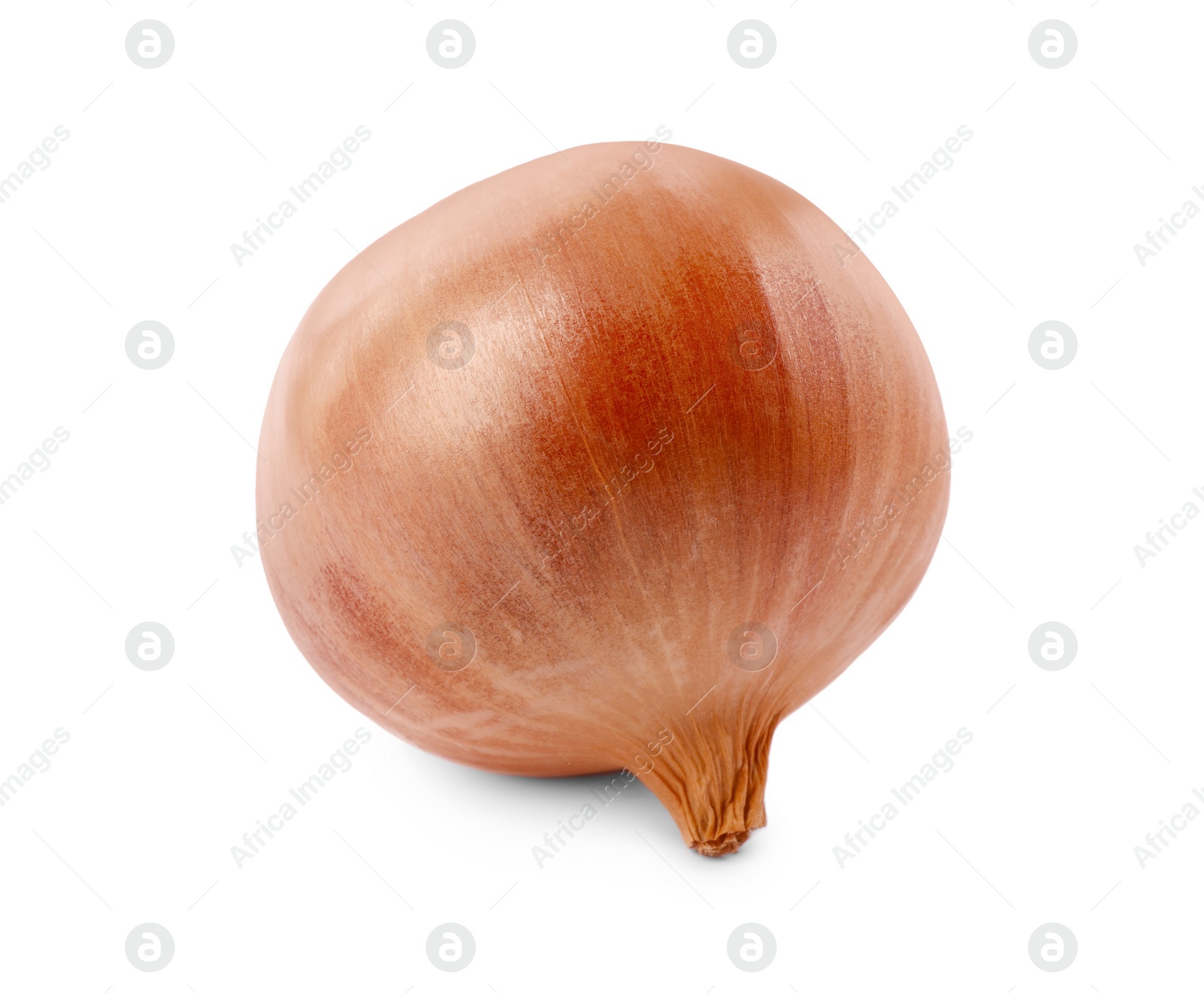 Photo of One yellow fresh onion isolated on white