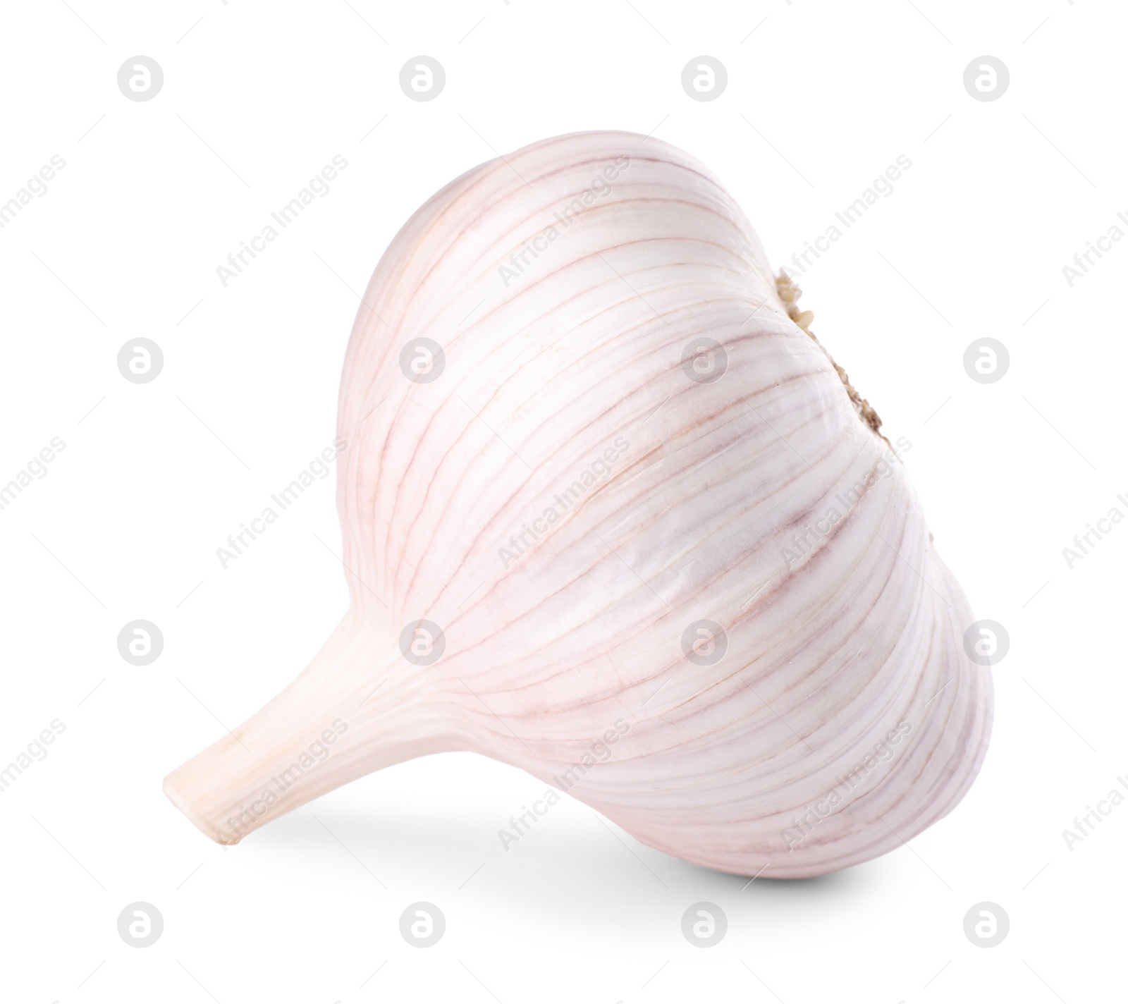 Photo of Head of fresh garlic isolated on white