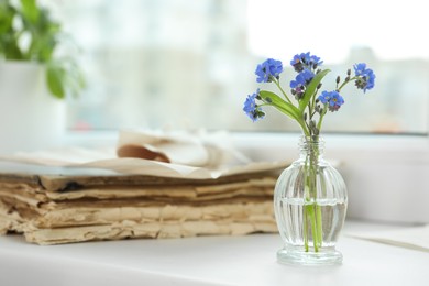 Photo of Beautiful blue forget-me-not flowers in glass bottle and stack of old paper on window sill. Space for text