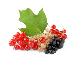 Photo of Fresh red, white and black currants with green leaf isolated on white