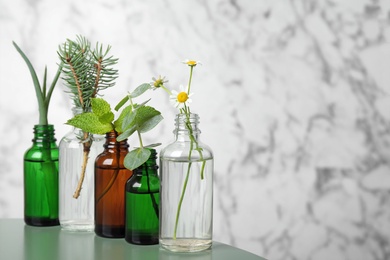 Glass bottles of different essential oils with plants on table. Space for text