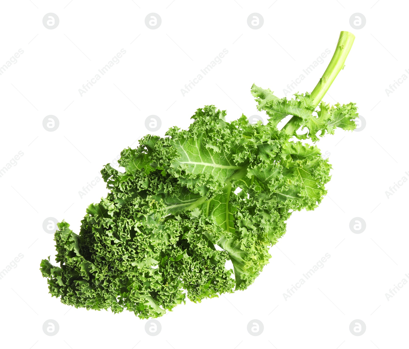 Photo of Fresh green kale leaf isolated on white