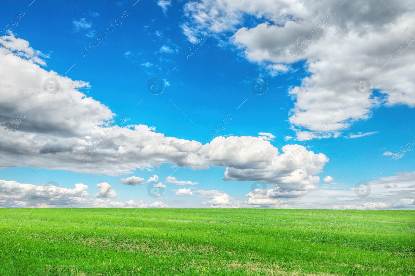 Image of Beautiful green field under blue sky with clouds