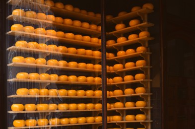 Photo of Many cheese wheels on shelves in store, view through glass window