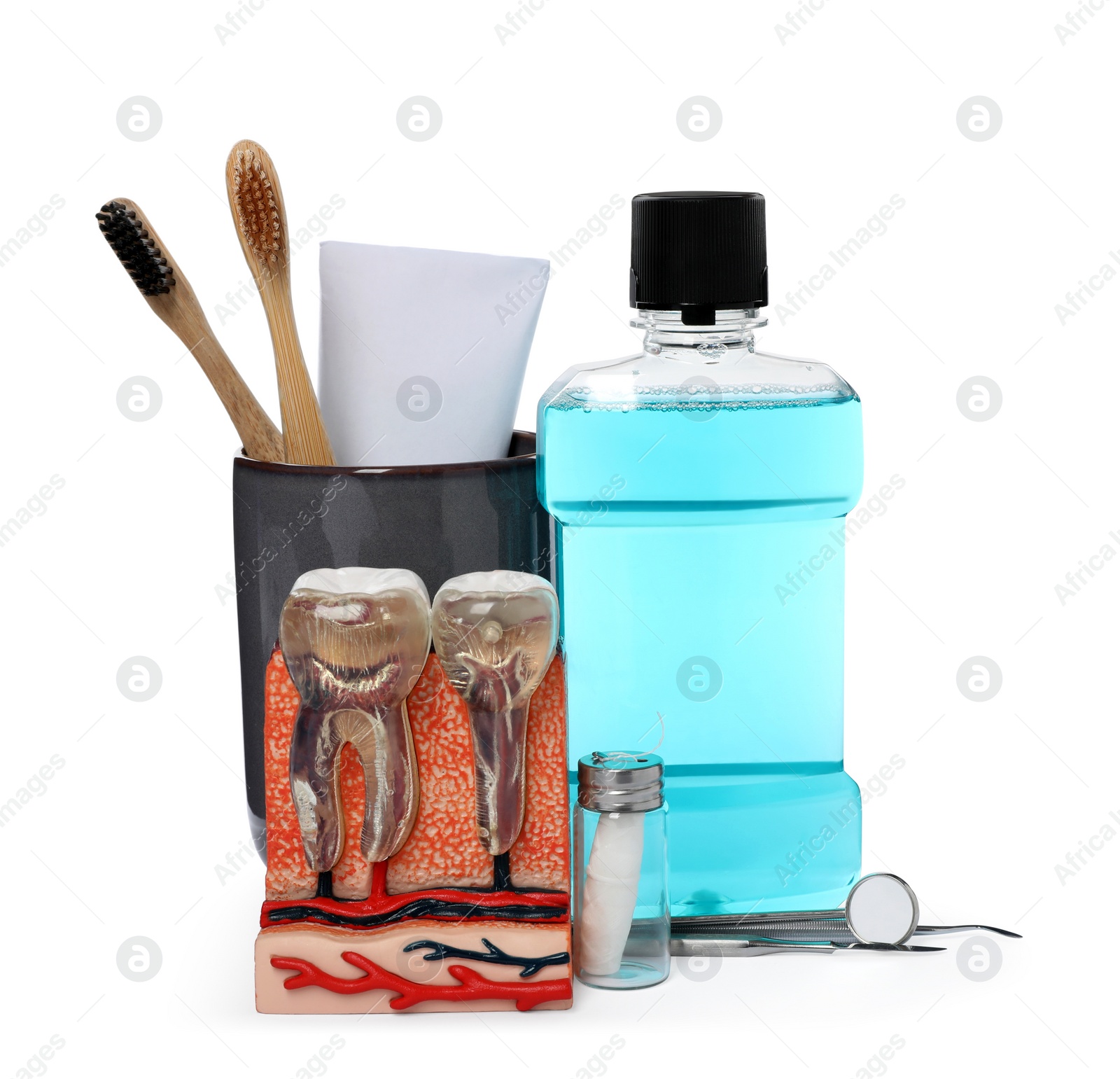 Photo of Educational tooth model, oral hygiene products and dentist tools on white background