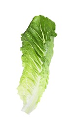 Fresh leaf of green romaine lettuce isolated on white