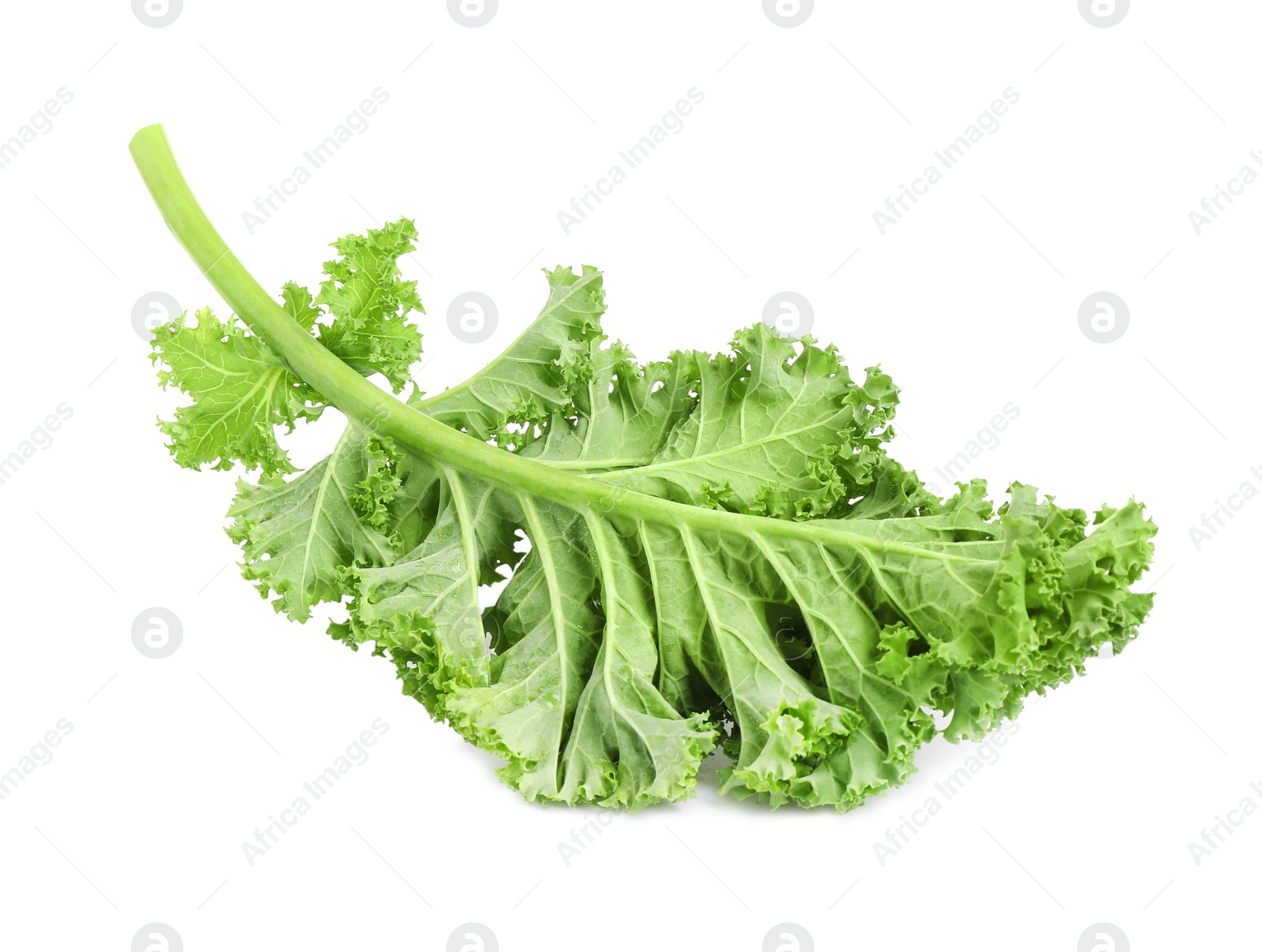 Photo of Fresh green kale leaf isolated on white