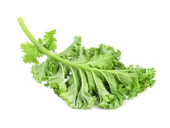 Fresh green kale leaf isolated on white