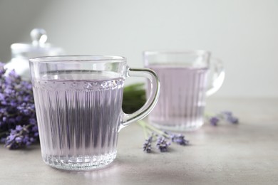 Photo of Fresh delicious drink with lavender in glass cup on grey table. Space for text