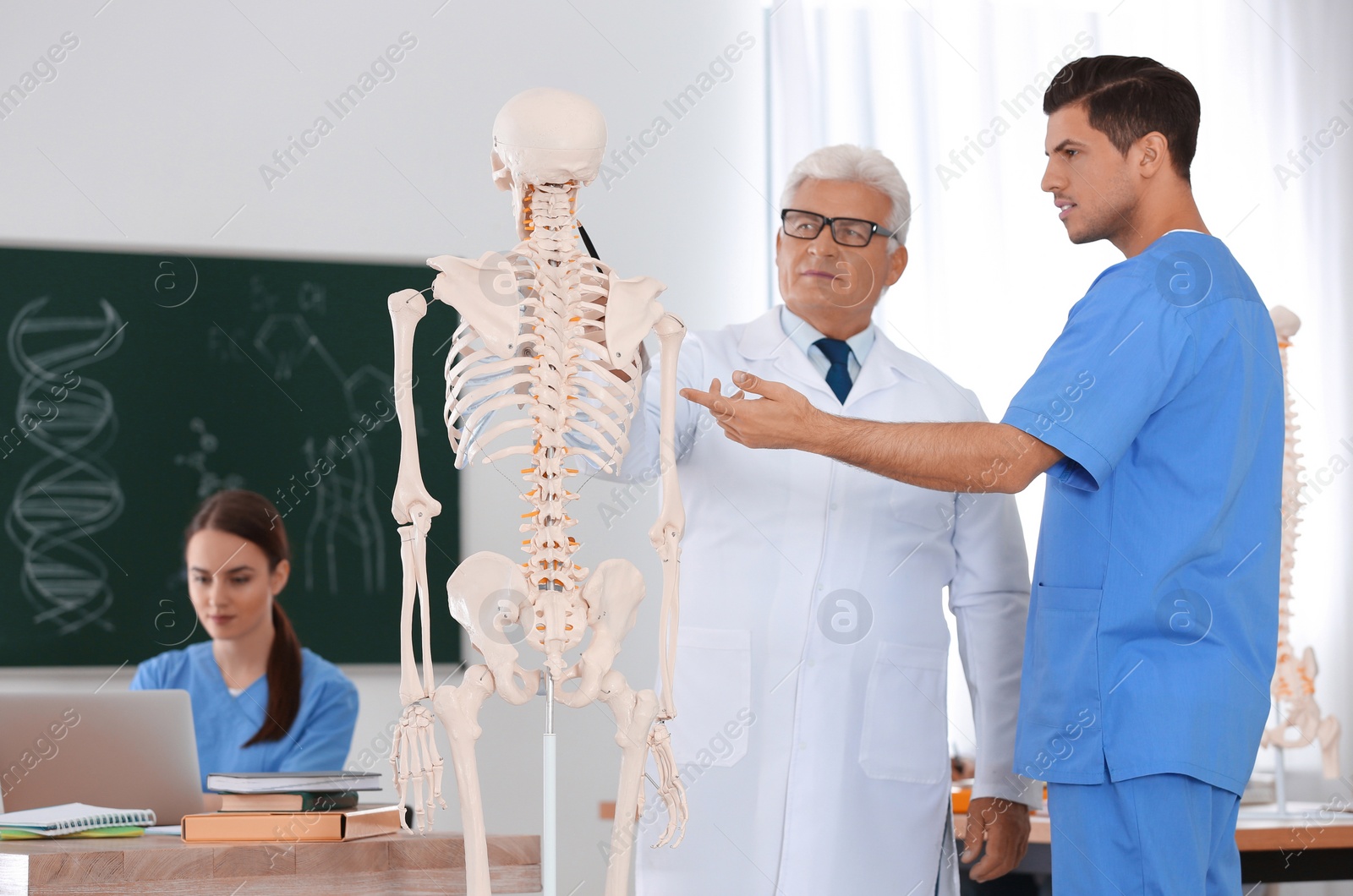 Photo of Medical students and professor studying human skeleton anatomy in classroom