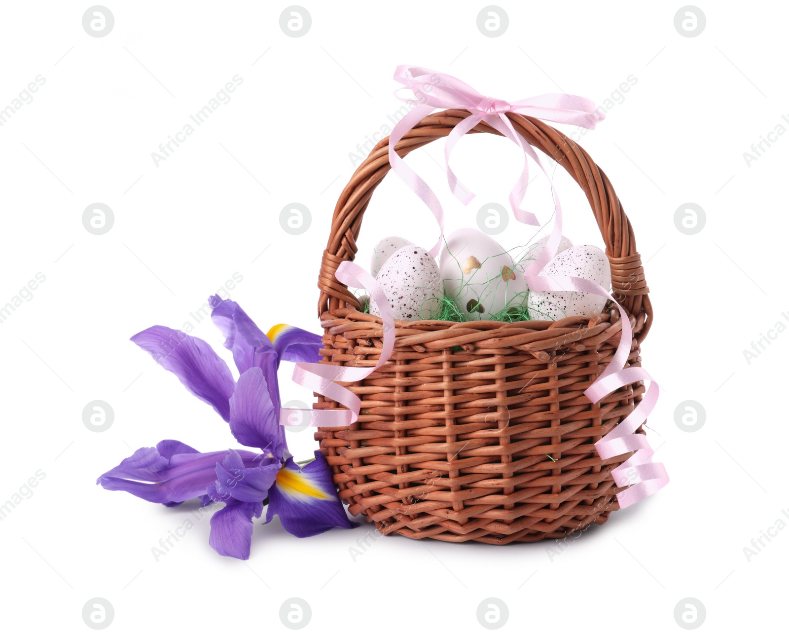 Photo of Wicker basket with beautifully painted Easter eggs and iris flowers isolated on white