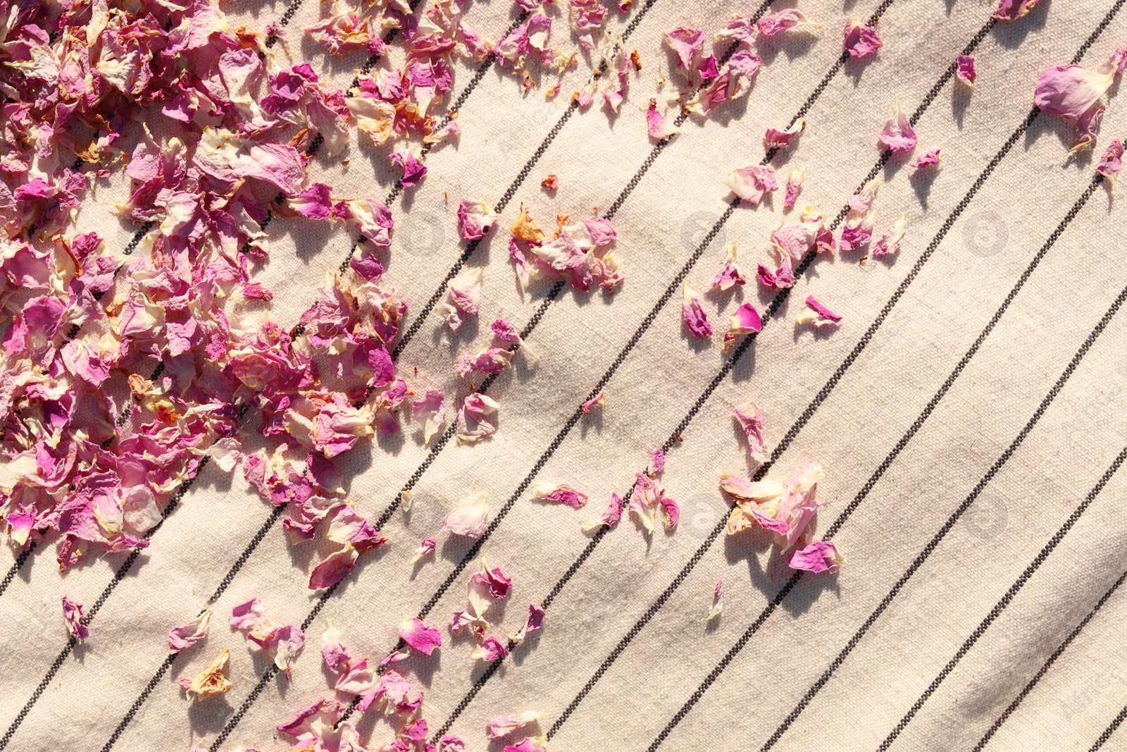 Photo of Scattered dried tea rose petals on striped fabric, top view