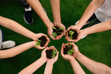 Group of volunteers holding soil with sprouts in hands outdoors, top view