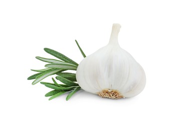 Photo of Fresh garlic bulb and rosemary isolated on white
