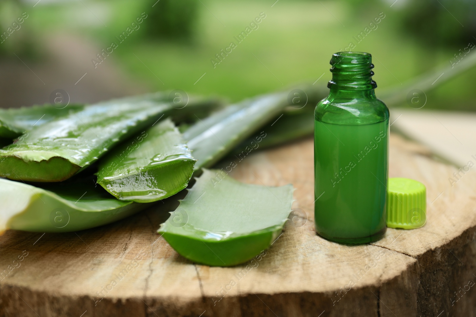 Photo of Fresh aloe vera leaves and bottle of extract on wooden stump outdoors