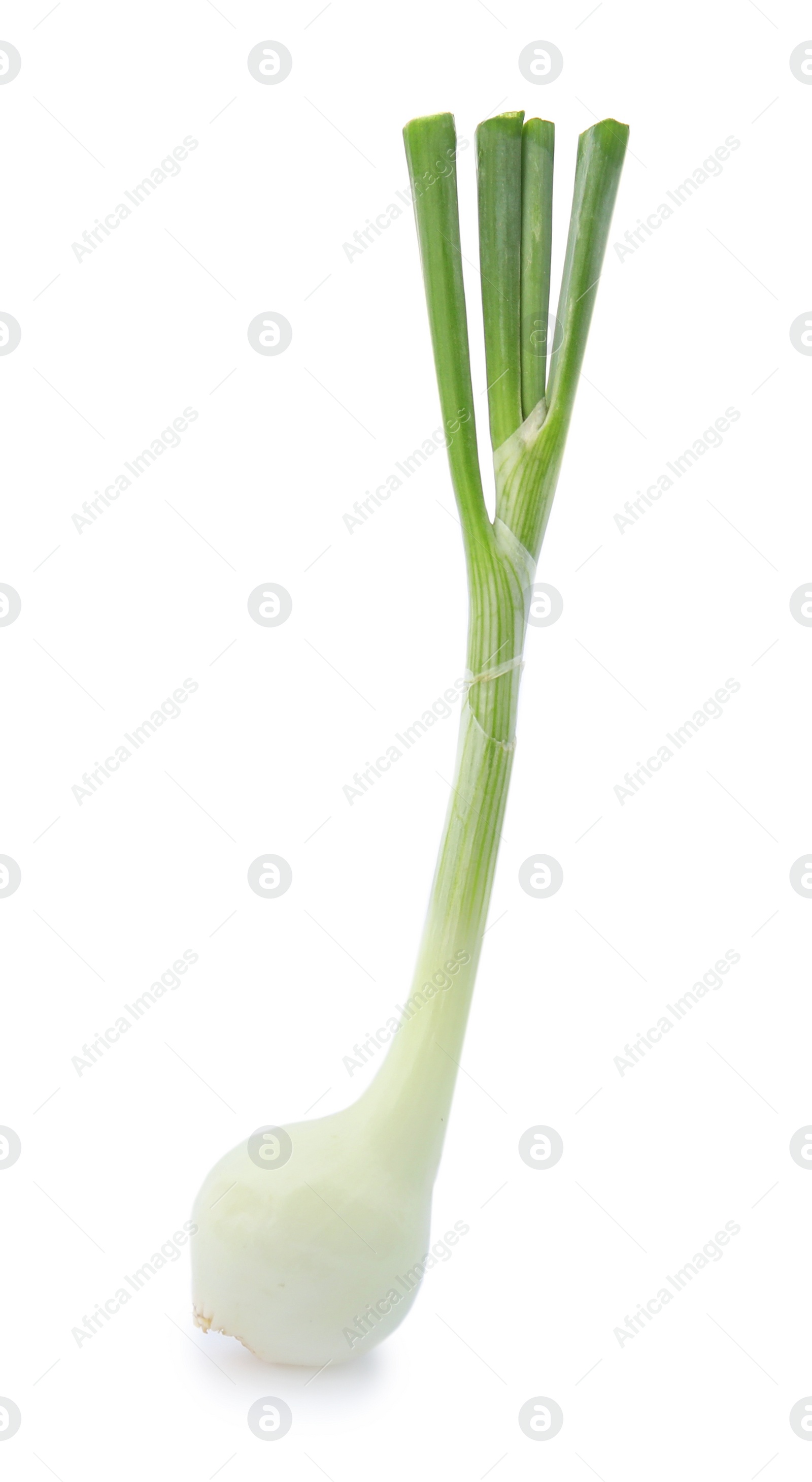 Photo of Fresh green onion on white background