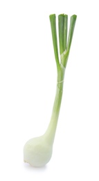 Photo of Fresh green onion on white background