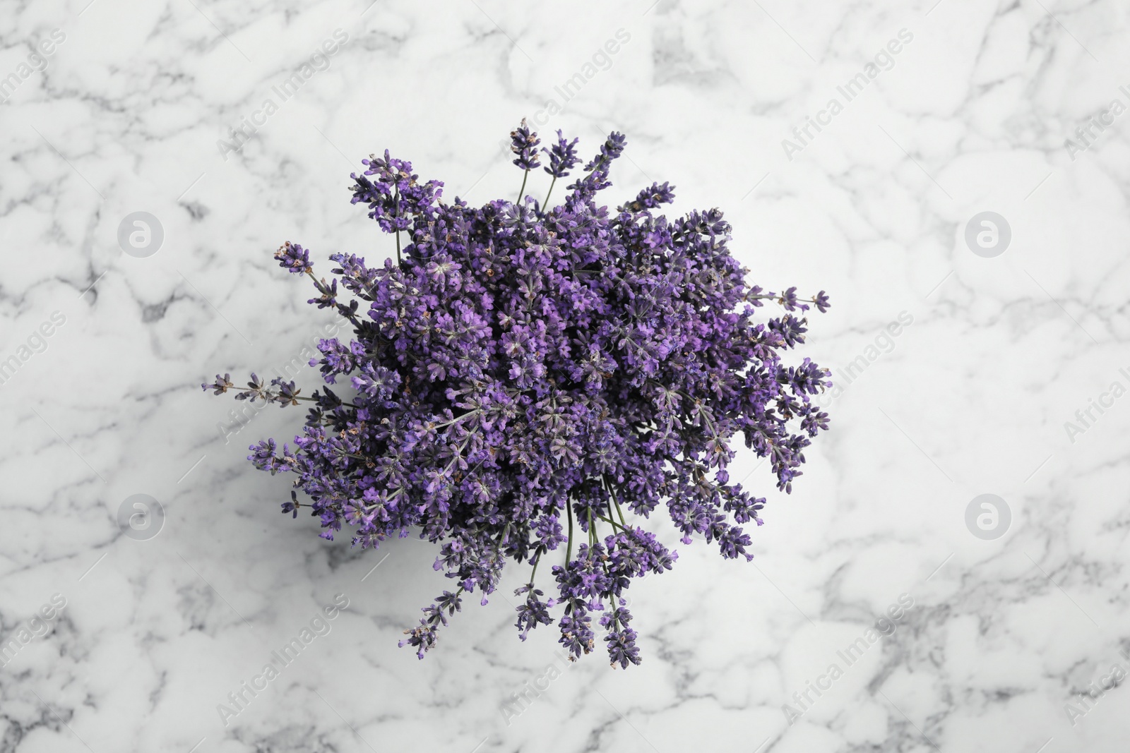 Photo of Beautiful lavender bouquet on white marble table, top view