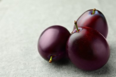 Photo of Tasty ripe plums on light fabric, closeup. Space for text