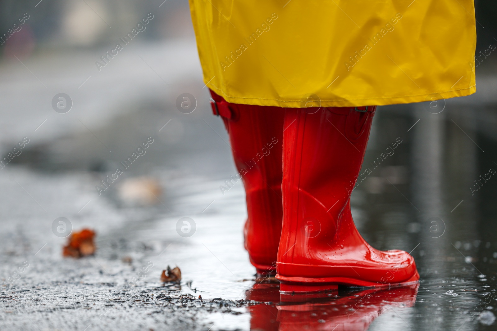 Photo of Woman in rubber boots walking outdoors on rainy day, closeup. Space for text