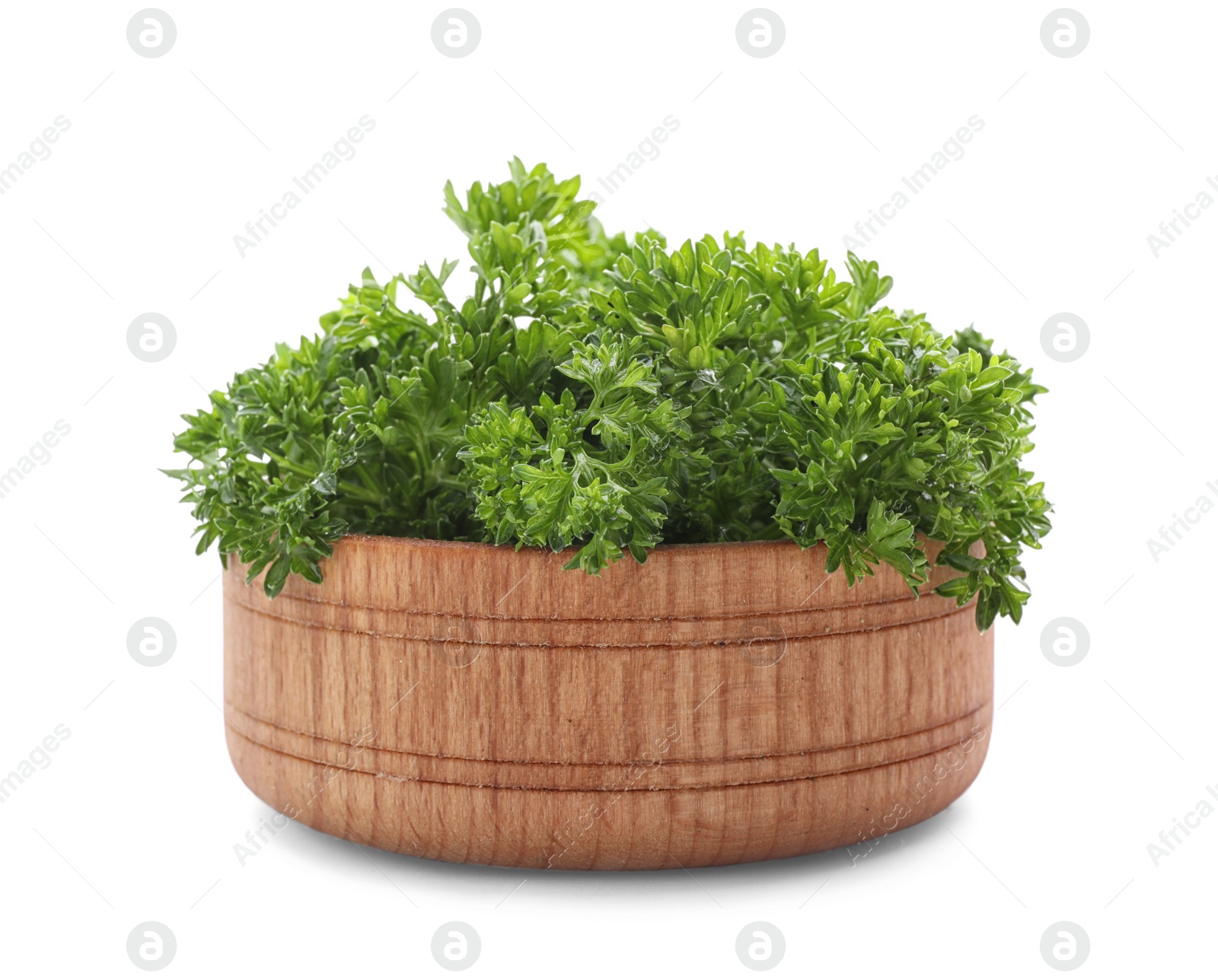 Photo of Bowl with fresh green parsley on white background