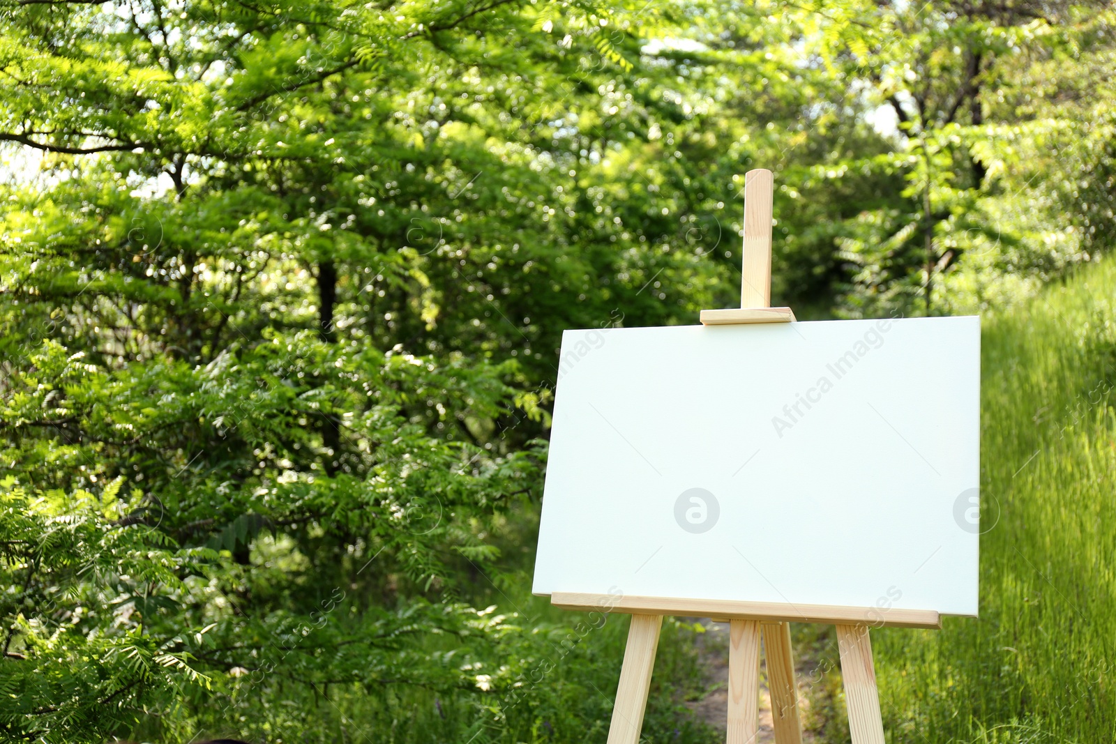 Photo of Wooden easel with blank canvas in picturesque countryside