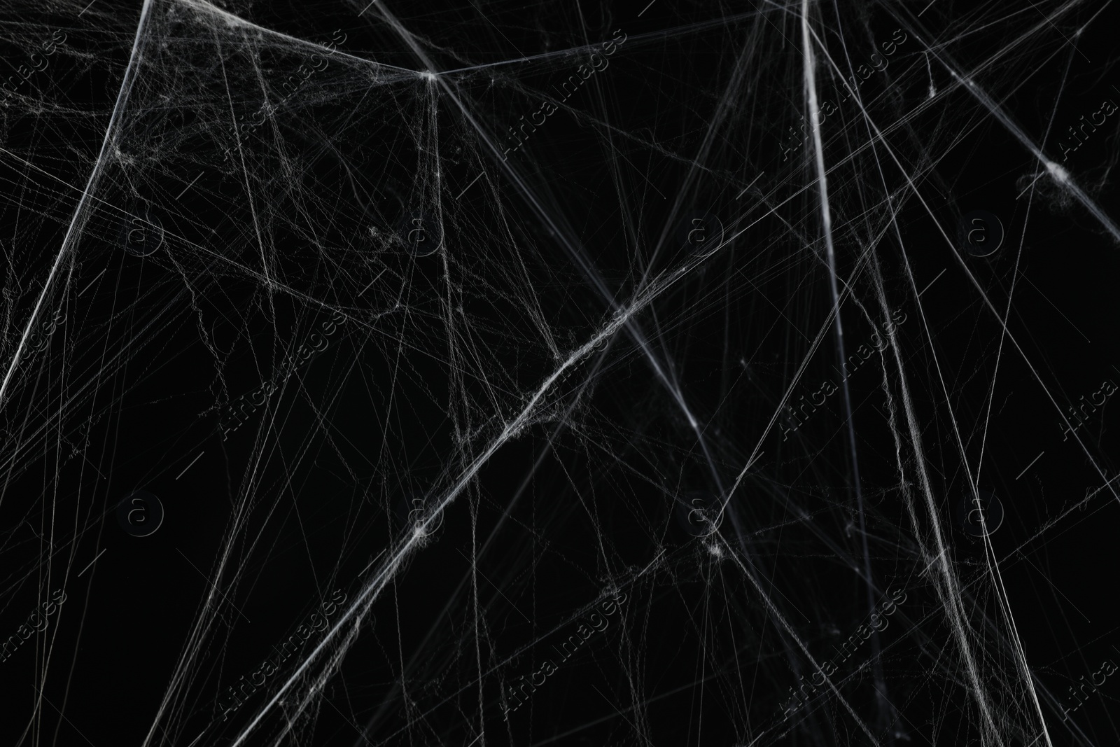 Photo of Creepy white spider web on black background