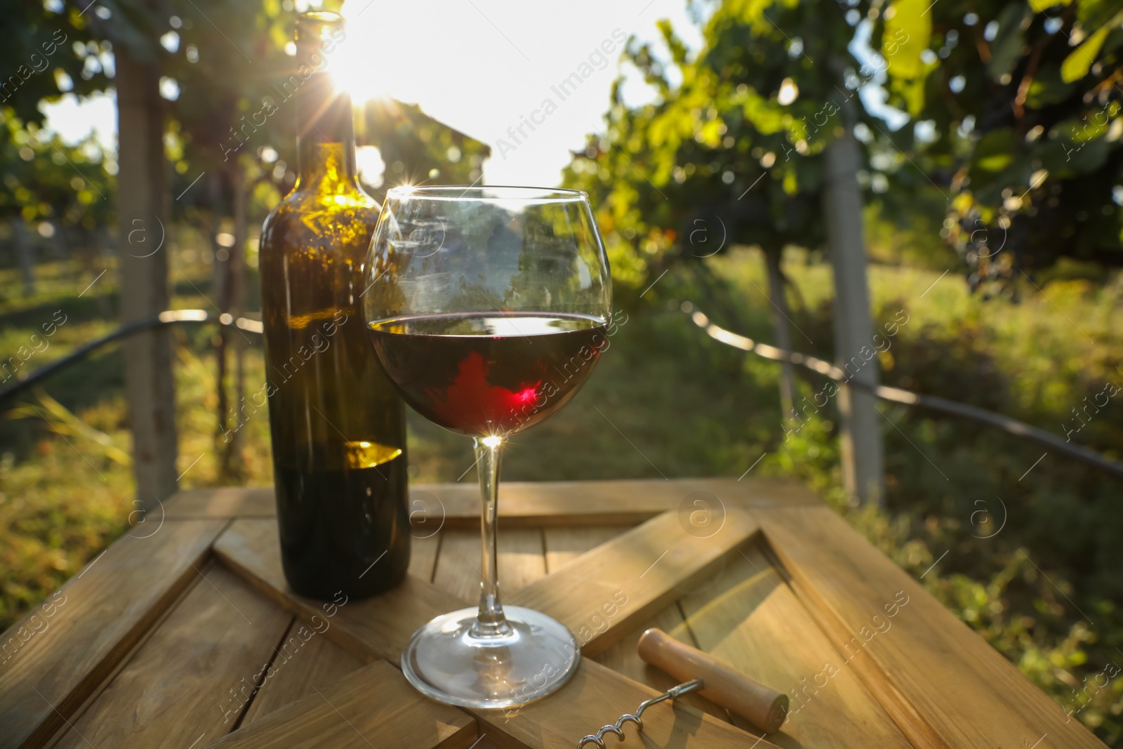 Photo of Bottle and glass of red wine on wooden table in vineyard