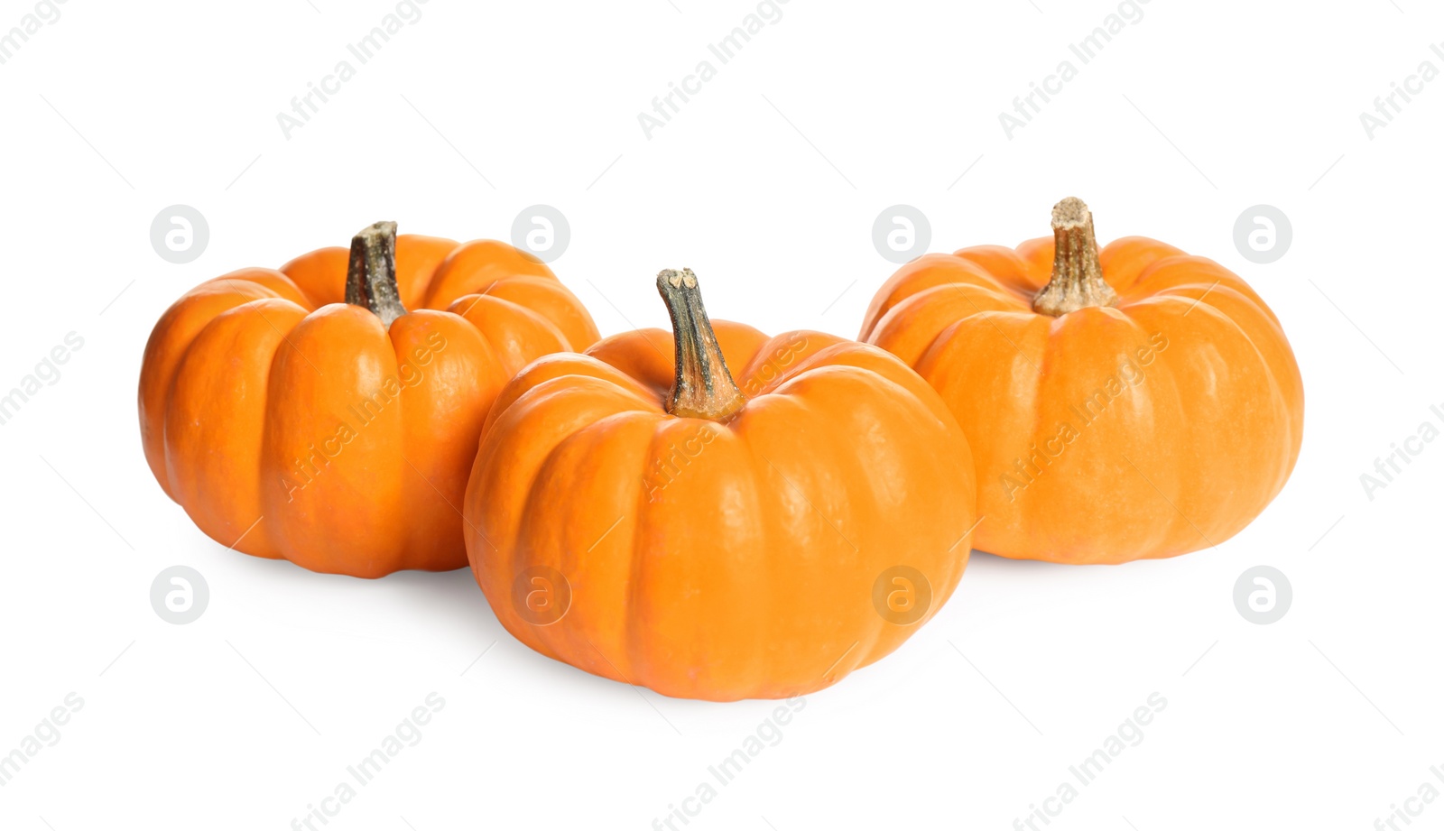 Photo of Beautiful ripe orange pumpkins on white background