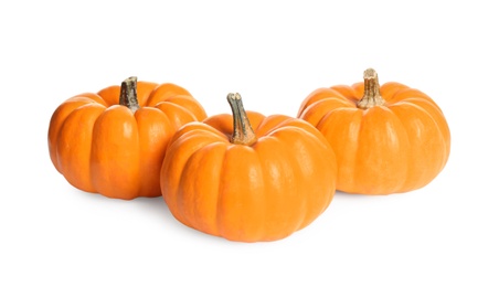 Photo of Beautiful ripe orange pumpkins on white background