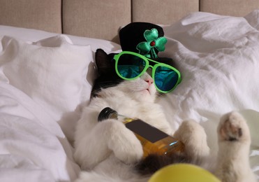 Photo of Cute cat wearing leprechaun hat and sunglasses with bottle of whiskey on bed. After party hangover