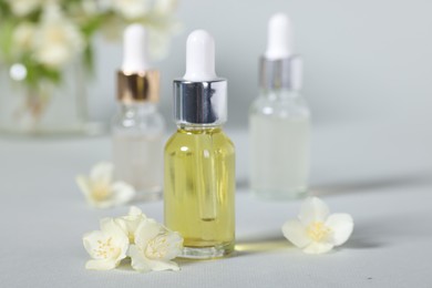 Essential oils in bottles and beautiful jasmine flowers on grey background, closeup