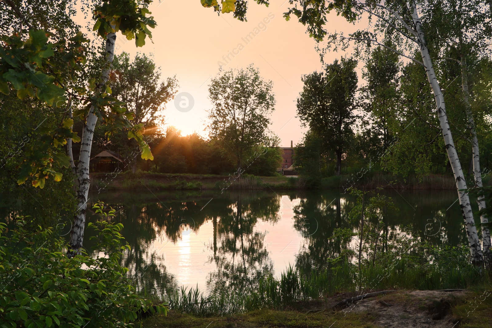 Photo of Picturesque view of lake at sunrise. Morning landscape