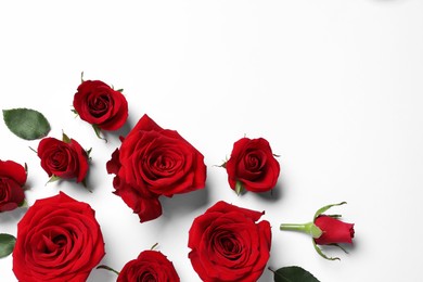 Photo of Beautiful red roses on white background, flat lay. Space for text