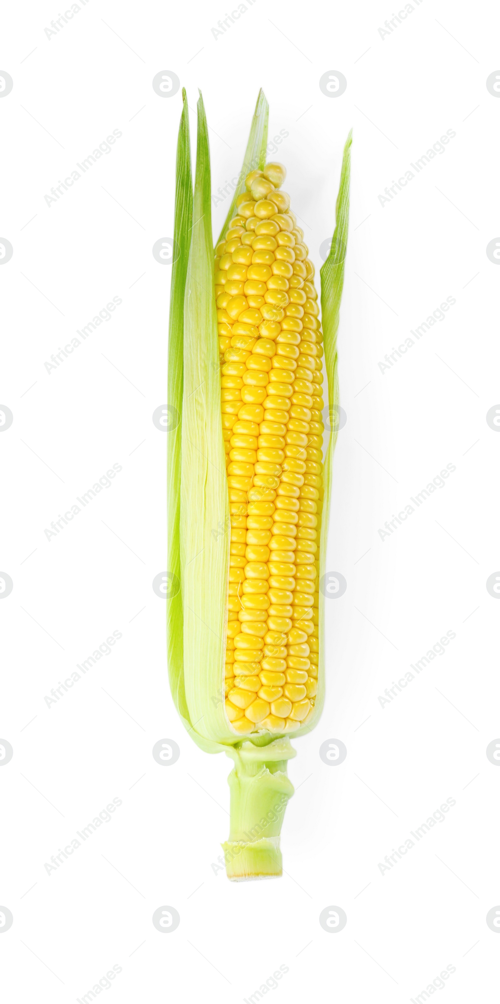 Photo of Tasty fresh corn cob isolated on white