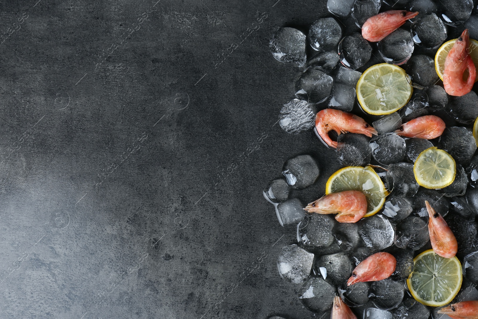 Photo of Flat lay composition with shrimps, lemon slices, ice cubes and space for text on dark background