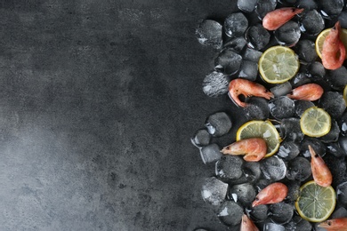 Photo of Flat lay composition with shrimps, lemon slices, ice cubes and space for text on dark background