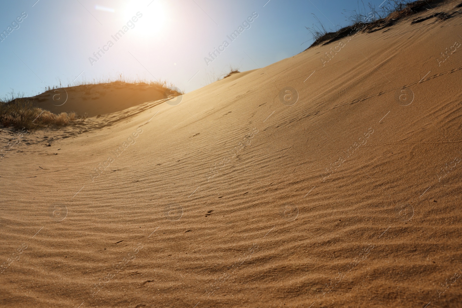 Photo of Picturesque view of desert on sunny day