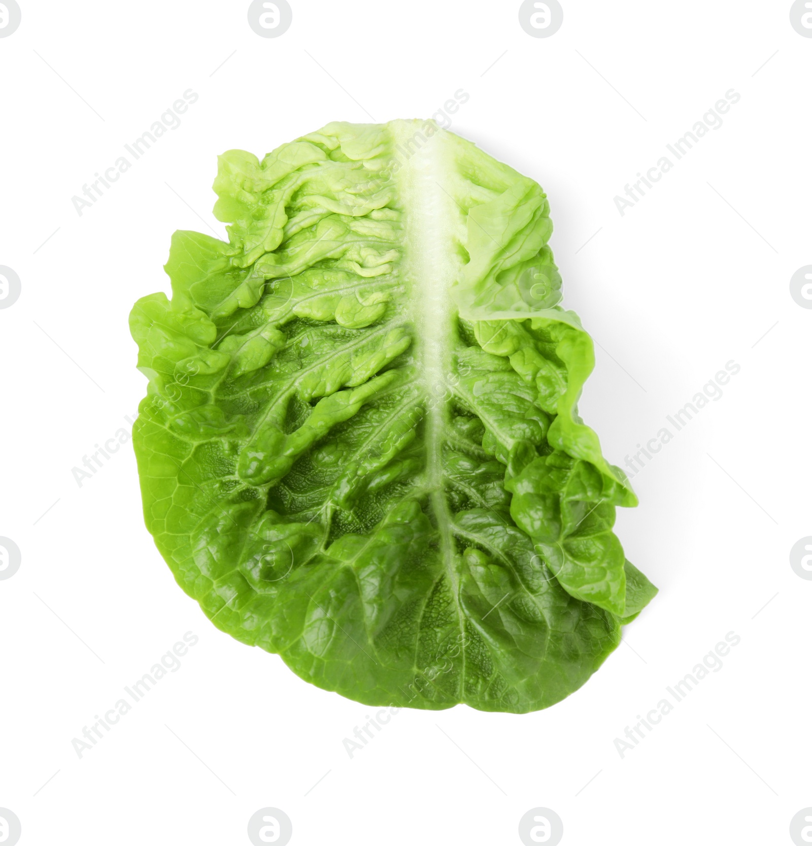 Photo of Fresh leaf of green romaine lettuce isolated on white, top view