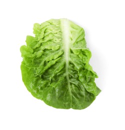 Photo of Fresh leaf of green romaine lettuce isolated on white, top view